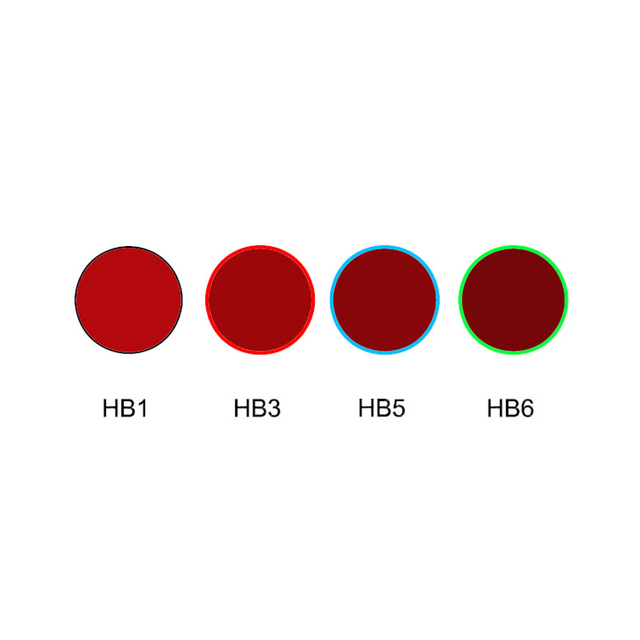 Filtre optique en verre coupé de couleur rouge HB1 HB3 HB5 HB6